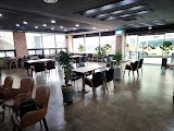 트로이 사진