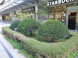스타벅스 롯데캐슬여의도 사진