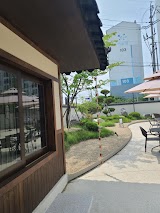 고목림 사진