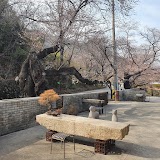 브릿지130 사진