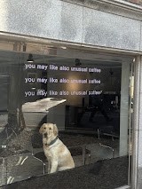 언유주얼(unusual) 사진