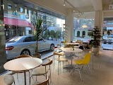 마일드 모디쉬 클럽(mild modish club) 사진