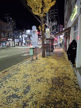 카페토스타토 사진