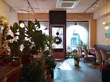 스타플로라 사진