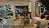 차우디 사진