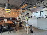 센틴컵 사진