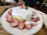 카페인그레이스 사진