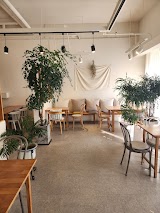 스윗투스 사진